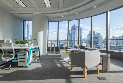 滨江区会议植物出租养护